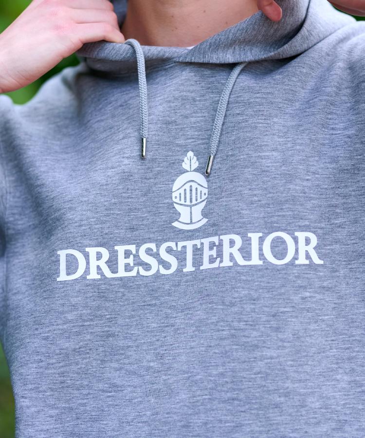ドレステリア DRESSTERIOR ストレッチポンチ フーディ （グレー(012)） グレー(012)