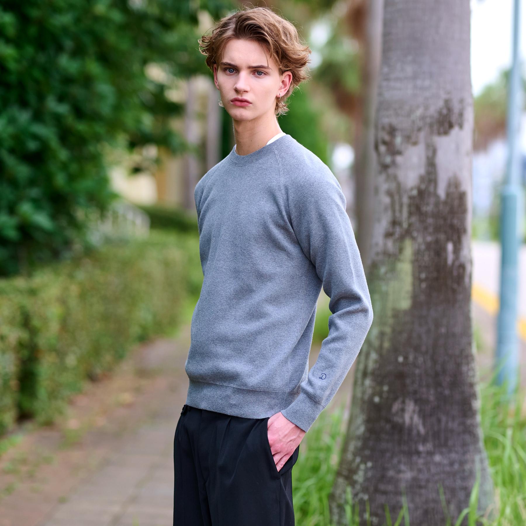 ドレステリア DRESSTERIOR コットンカシミヤスムースニット （グレー(012)） グレー(012)