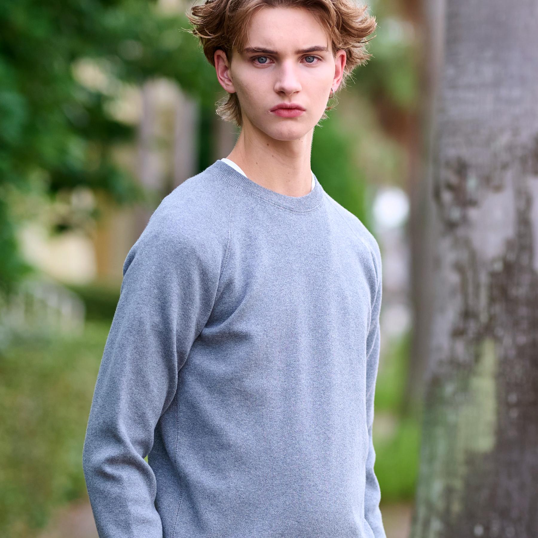 ドレステリア DRESSTERIOR コットンカシミヤスムースニット （グレー(012)） グレー(012)