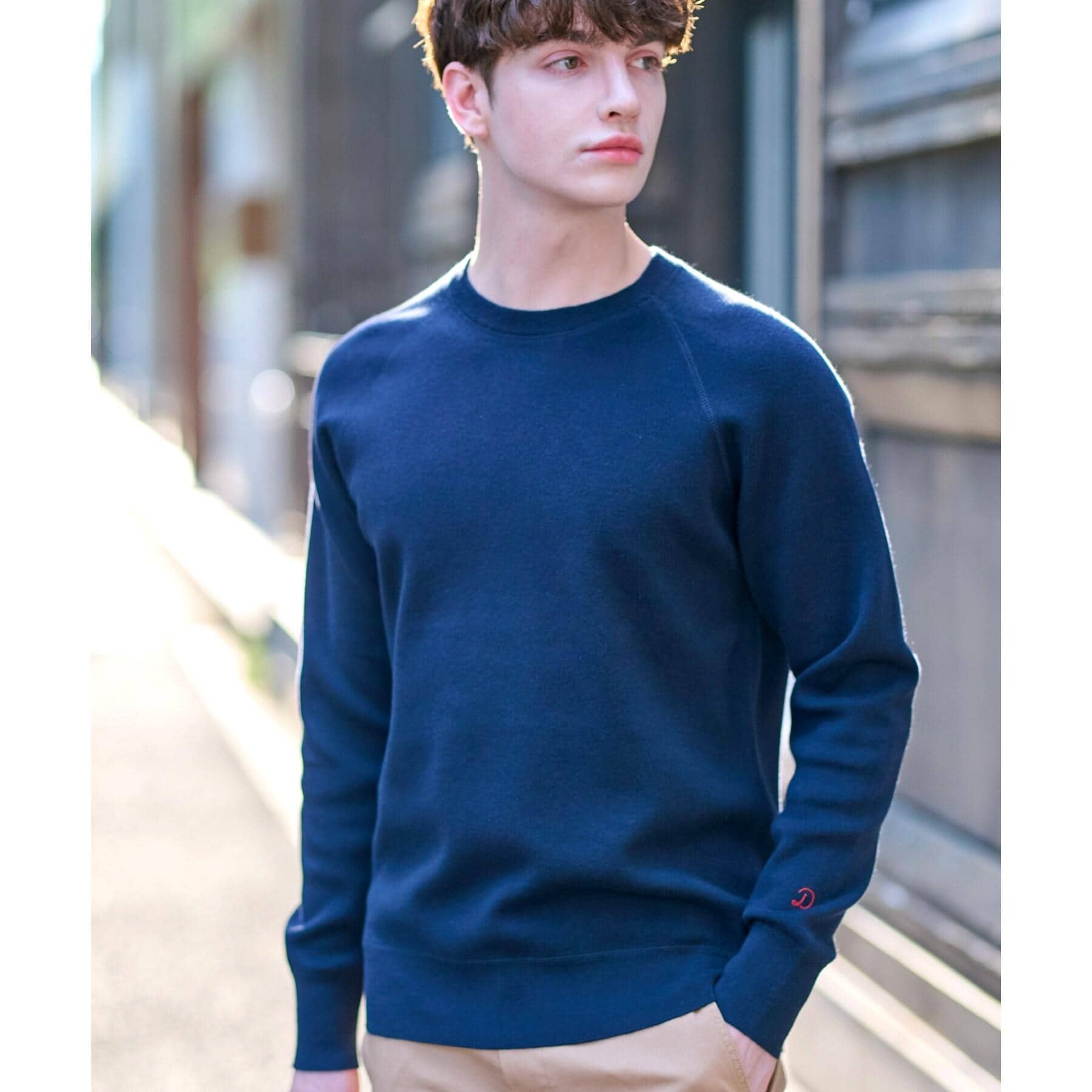 ドレステリア DRESSTERIOR コットンカシミヤスムースニット （グレー(012)） グレー(012)