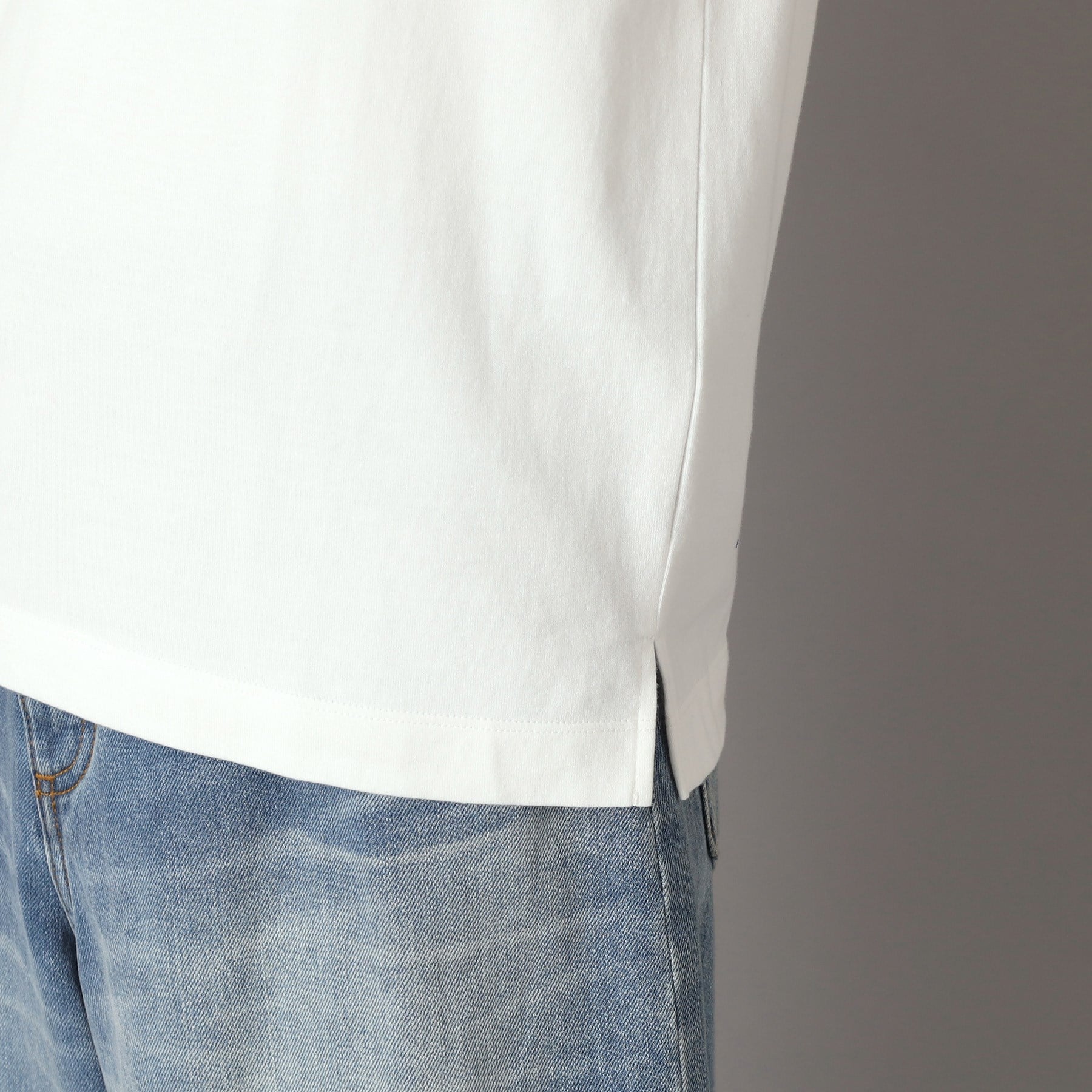 ドレステリア DRESSTERIOR ベーシックロゴTシャツ （グレージュ(050)） グレージュ(050)