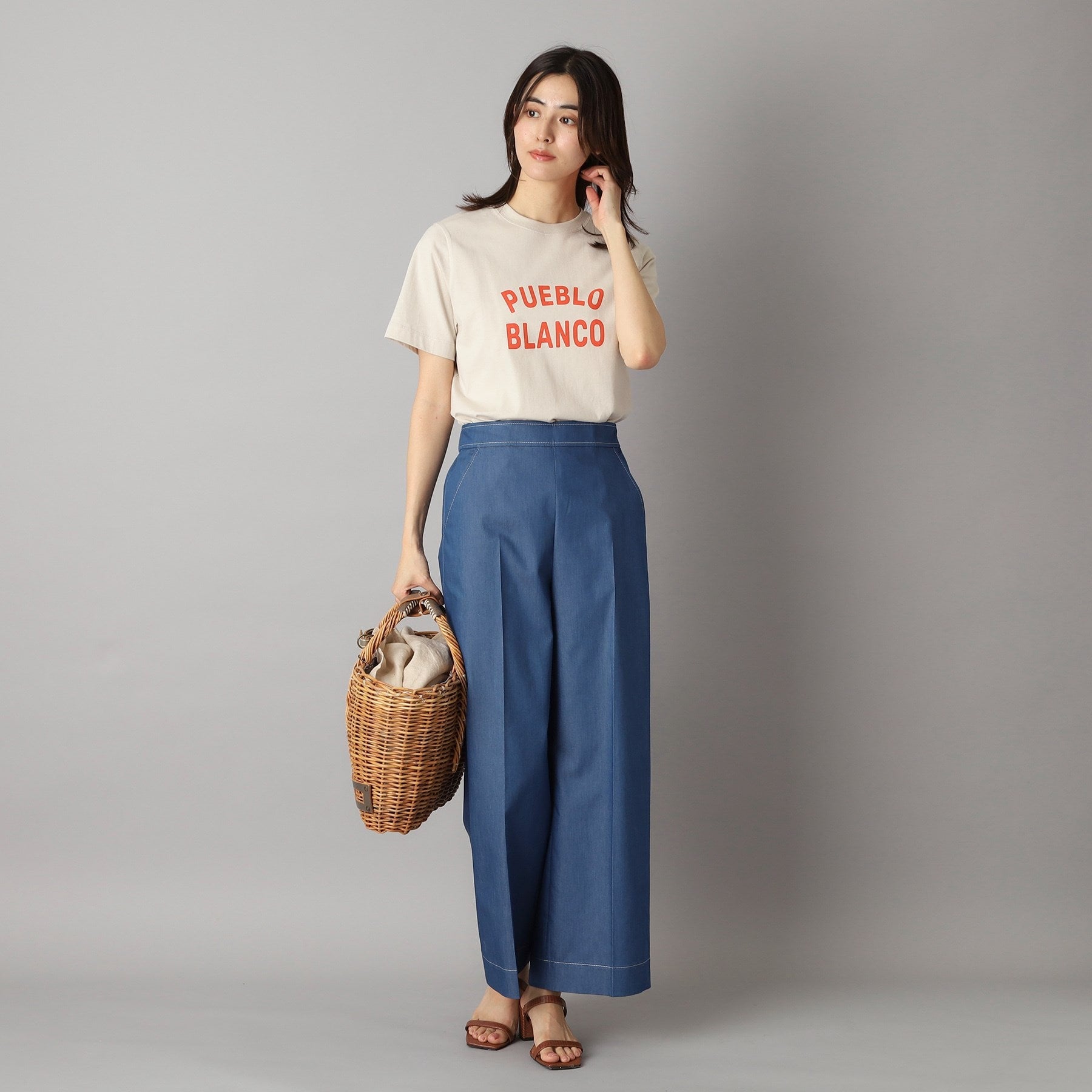 ドレステリア DRESSTERIOR ベーシックロゴTシャツ （グレージュ(050)） グレージュ(050)