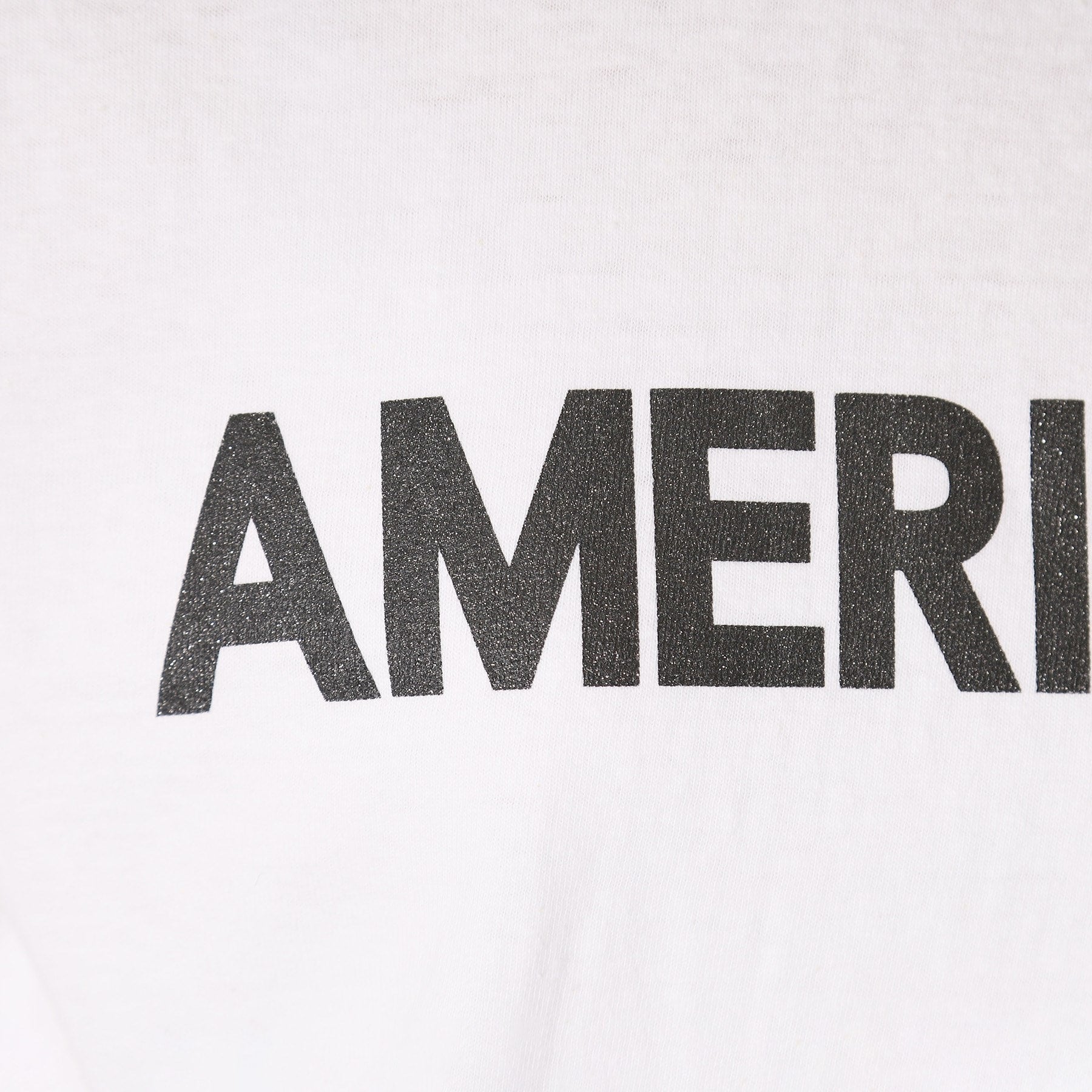 DRESSTERIOR DRESSTERIOR Americana Logo T-shirt