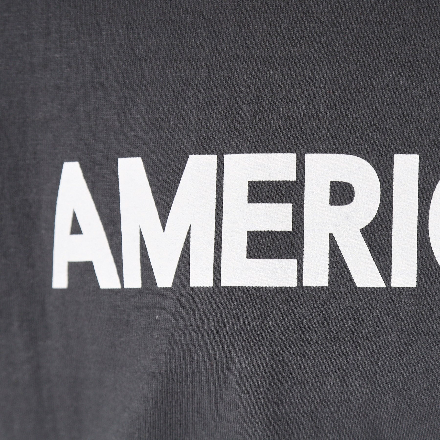 DRESSTERIOR DRESSTERIOR Americana Logo T-shirt