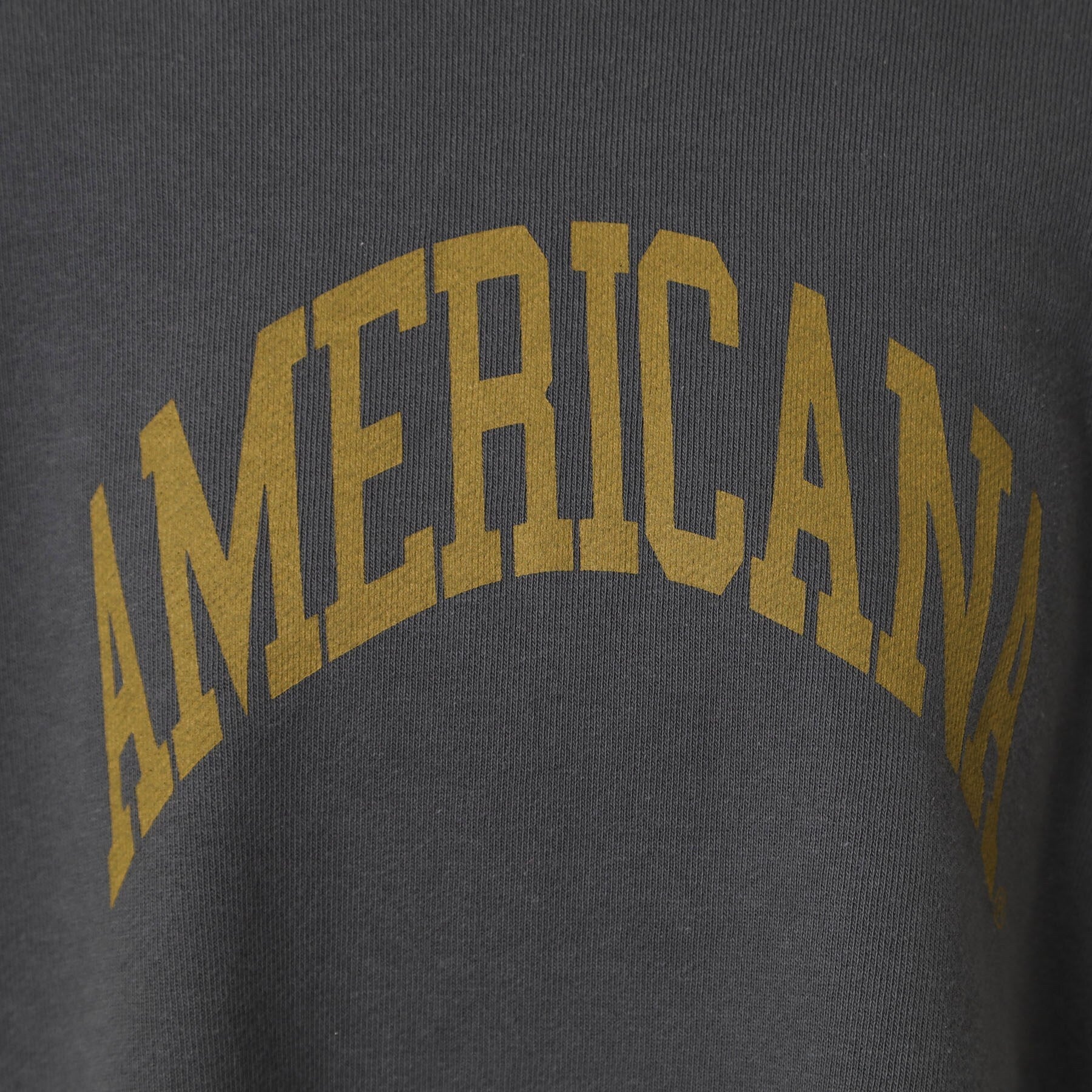 ドレステリア DRESSTERIOR Americana（アメリカーナ）ロゴスウェットプルオーバー （トープ(054)） トープ(054)