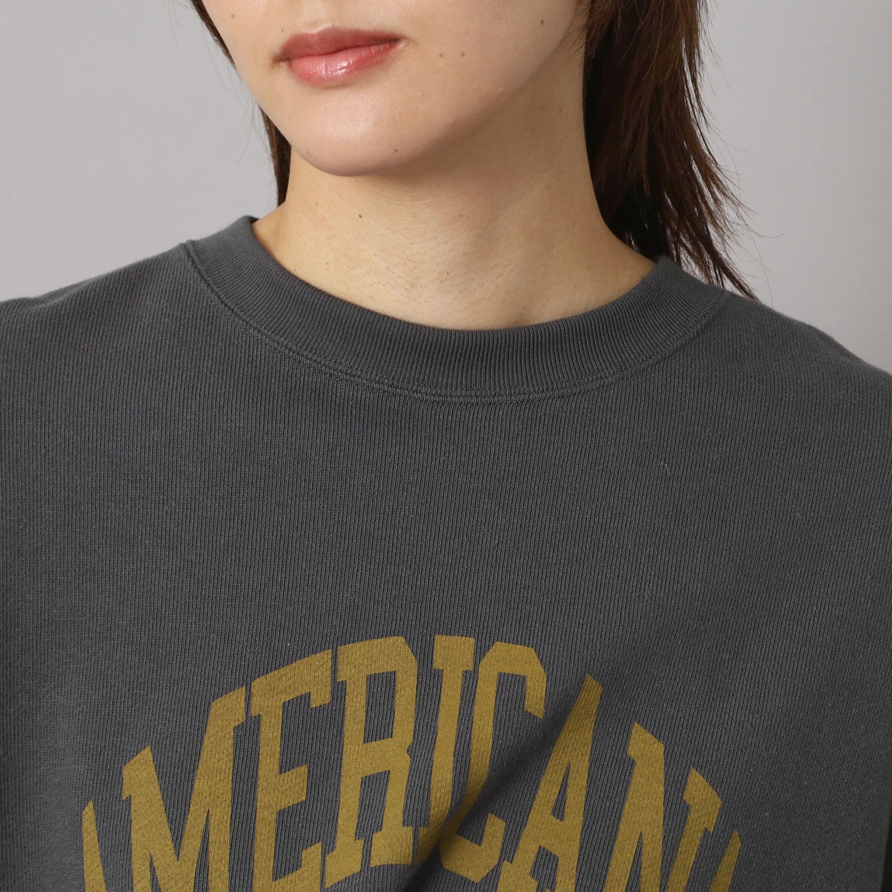 ドレステリア DRESSTERIOR Americana（アメリカーナ）ロゴスウェットプルオーバー （トープ(054)） トープ(054)