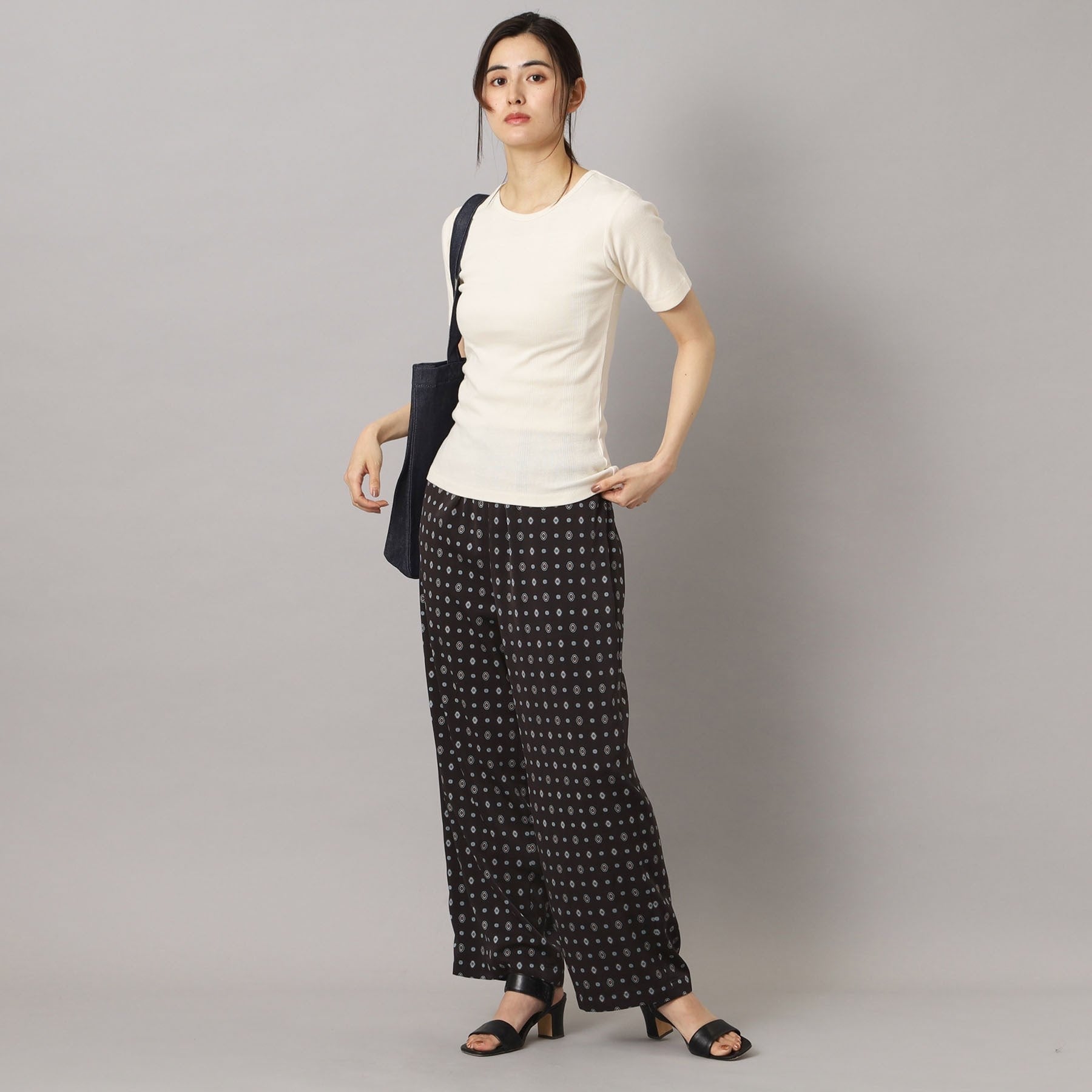 ドレステリア DRESSTERIOR Robert．P．Miller（ロベルト・ピー・ミラー）パネルリブクルーネックTシャツ （オフホワイト(003)） オフホワイト(003)