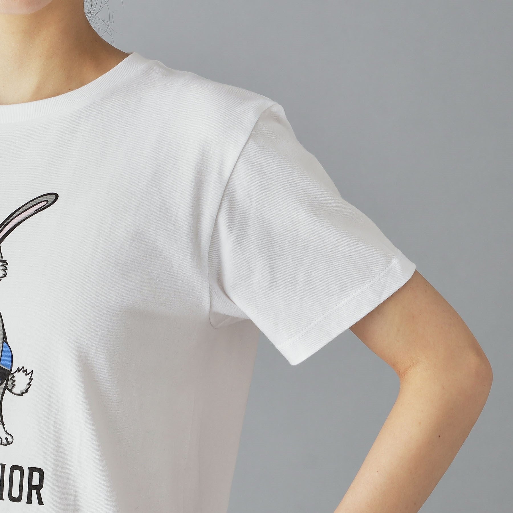 ドレステリア DRESSTERIOR ルクア＆EC限定T （ホワイト(001)） ホワイト(001)