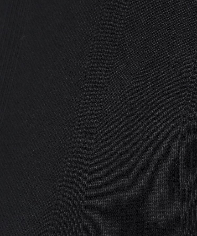 ドレステリア DRESSTERIOR Robert．P．Miller（ロベルト・ピー・ミラー）パネルリブクルーネックTシャツ （ブラック(019)） ブラック(019)