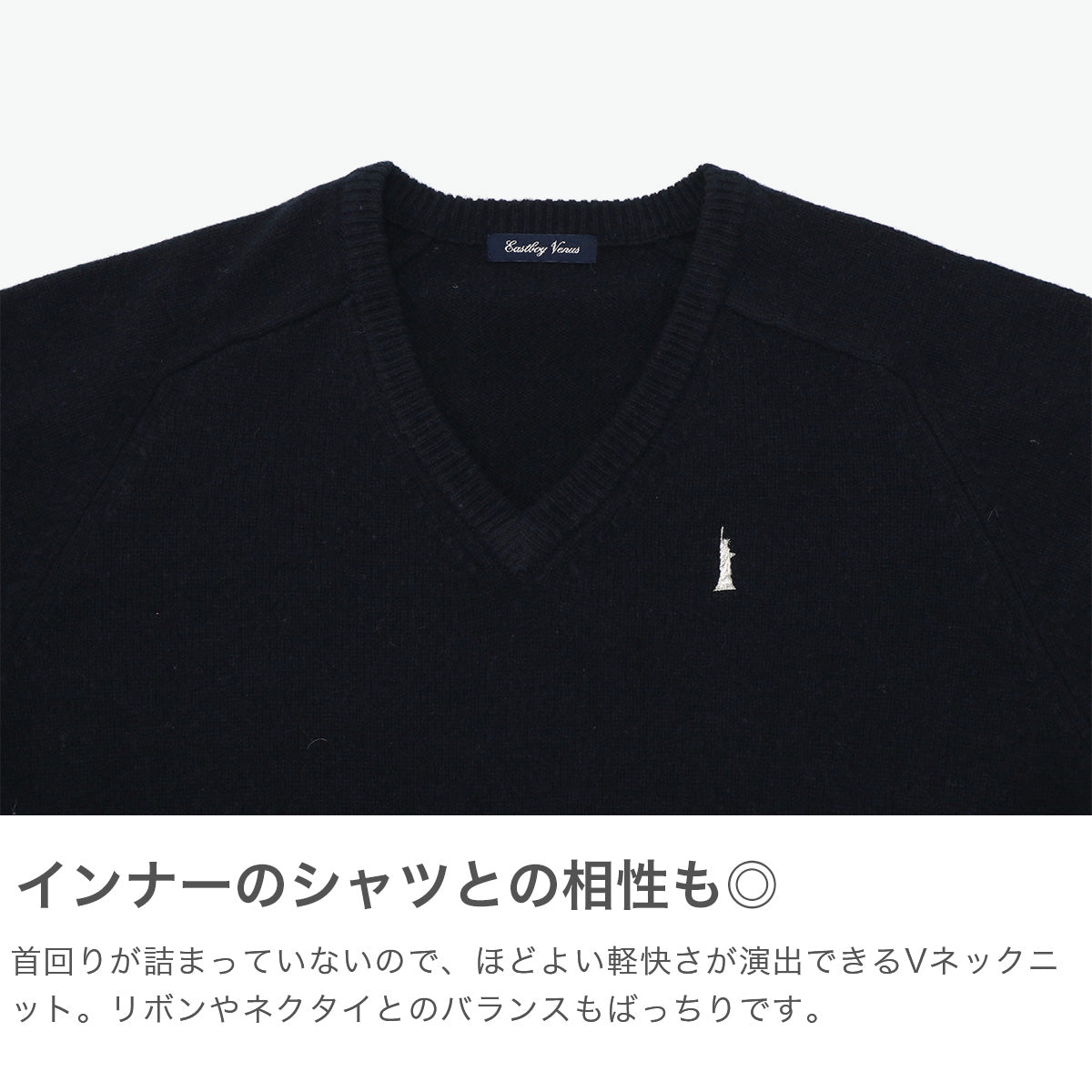 イーストボーイ EAST BOY セーター レディース 学生 制服 秋冬 秋 冬 薄手 かわいい Vネック 紺色 紺 白 ラムウール ウール 女神刺繍 長袖 スクール 定番 通学 女子 女子高生 ラムウールセーター7G 5216502 （ブラック） ブラック