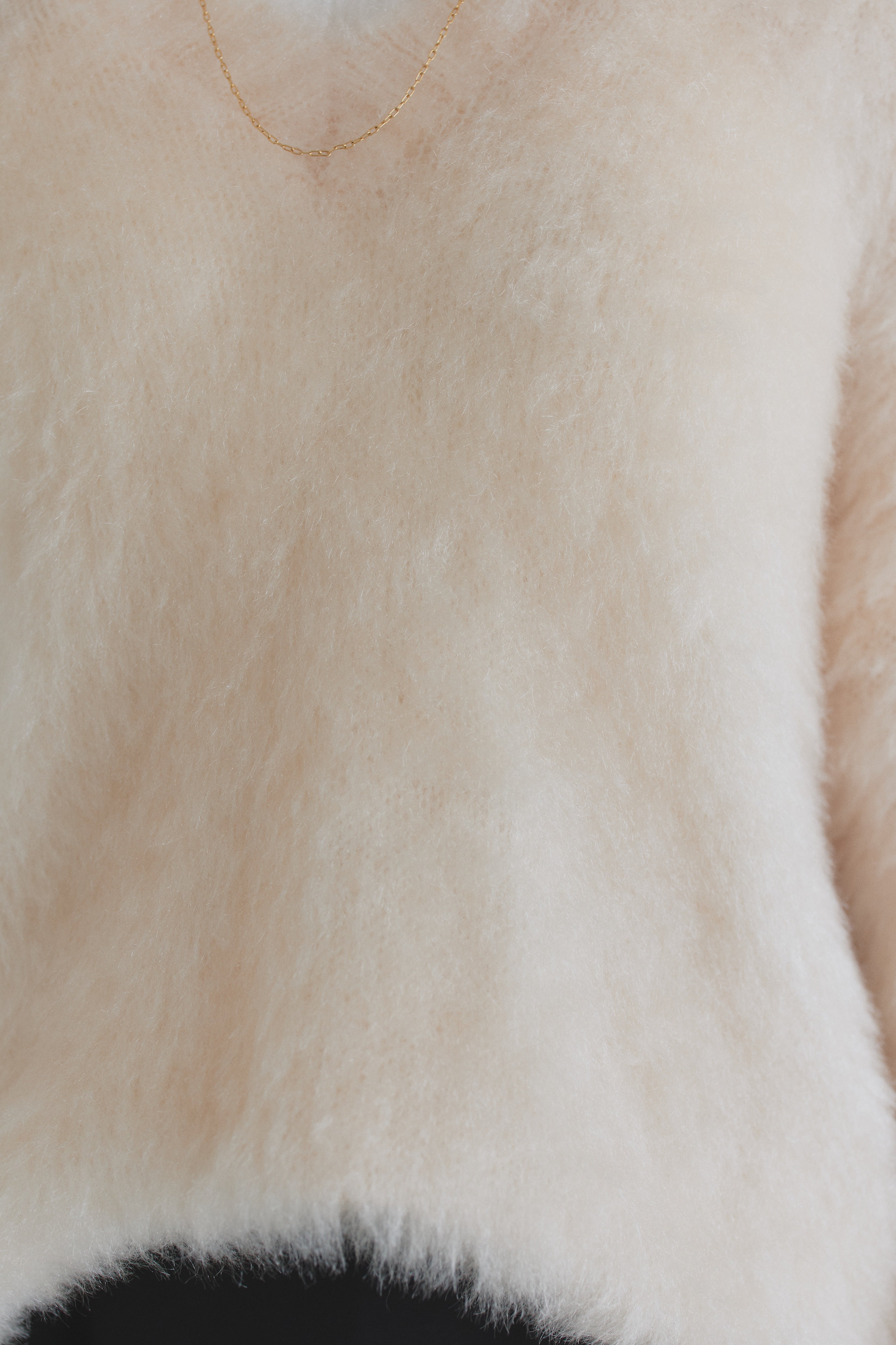 クラム ECLAM シャギーVネックニット （アイボリー） アイボリー