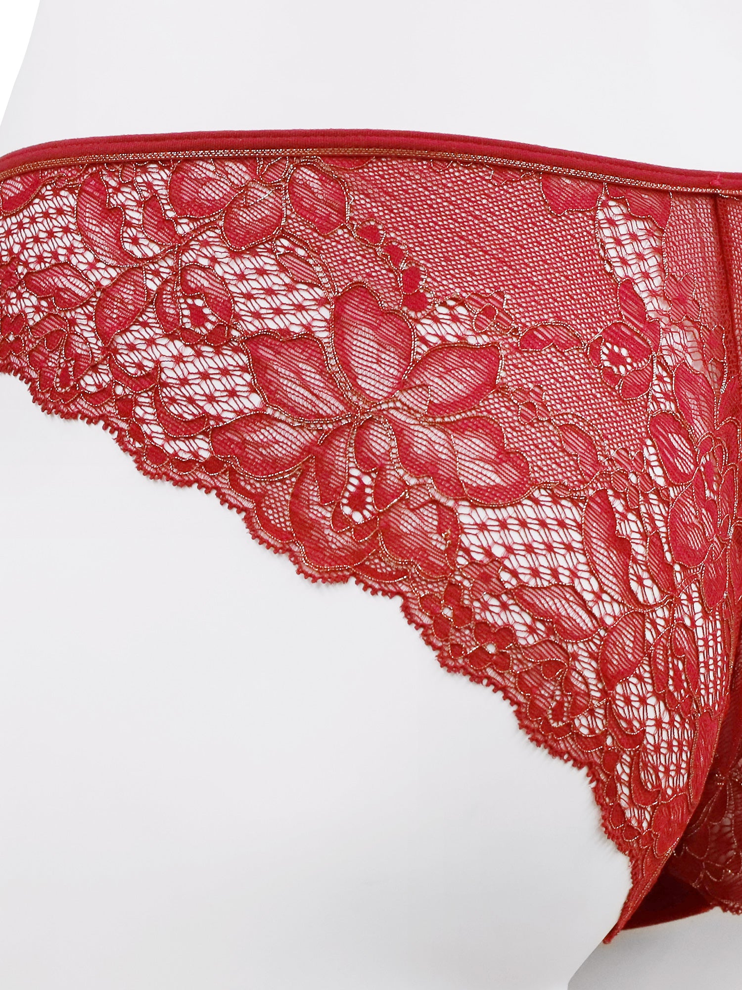 アンブラ ANNEBRA Velvet Sin ベロア×レースショーツ 【返品不可商品】 （Red） Red