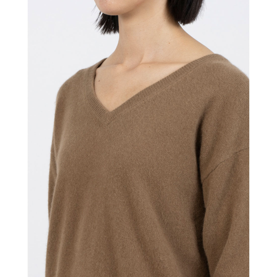 Enlightenment Raccoon V-Neck Pullover
