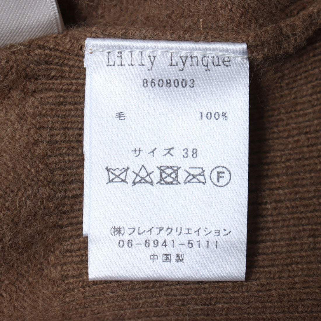 Enlightenment Raccoon V-Neck Pullover