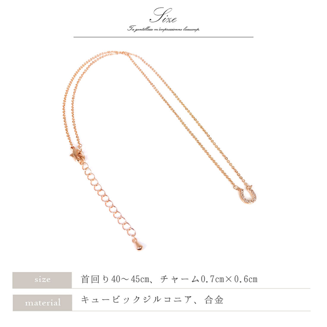フロージュ florge 2種CZダイヤホースシューネックレス
