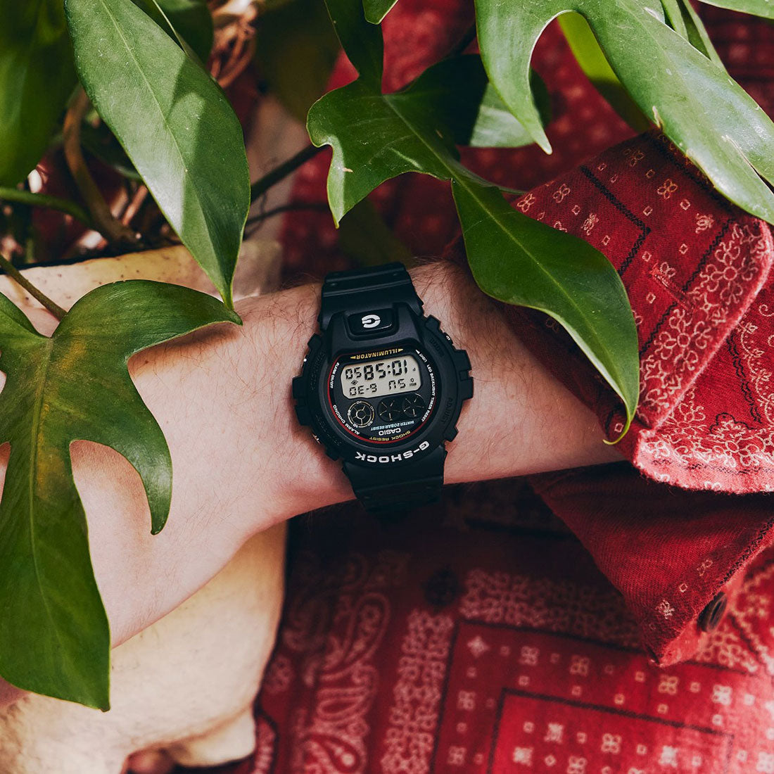 ジーショック G-SHOCK G-SHOCK DW-6900RL-1JF（ジーショック DW-6900RL-1JF） （BLACK） BLACK