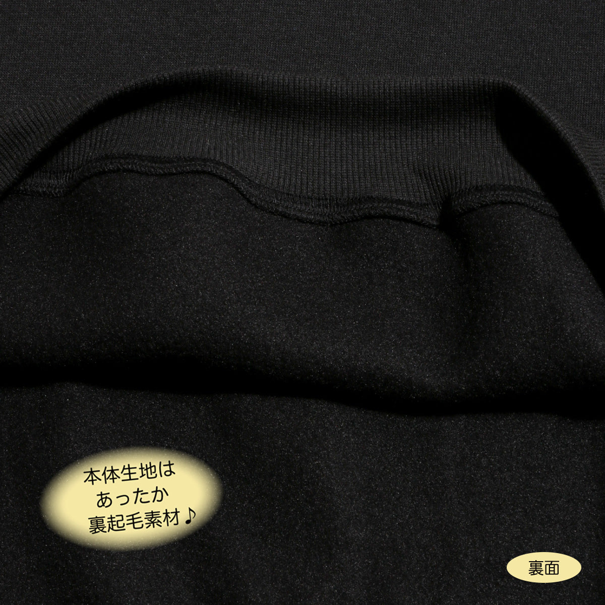 D.FIT Fleece Lined BIG Trainer BIG Silhouette Sweat Pullover Box Logo Patch