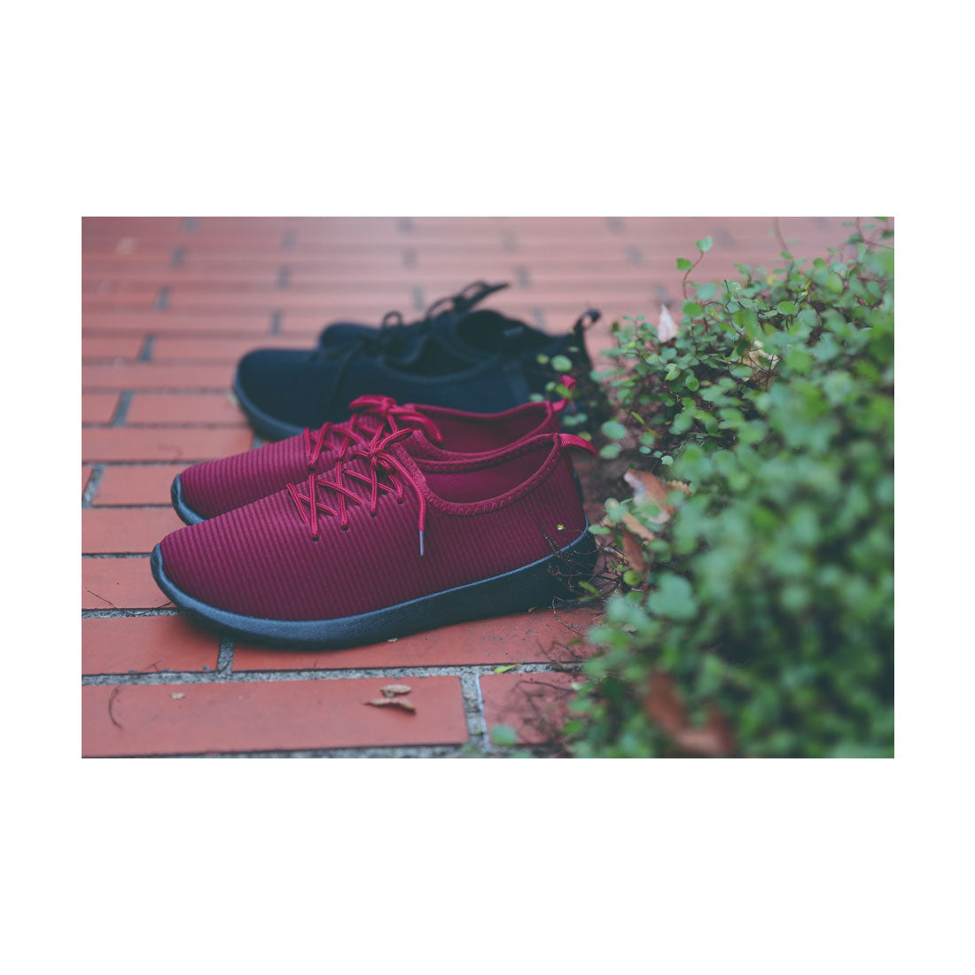 GLOBAL JAPAN Wing-Jumping Comfortable Shoes Sneakers