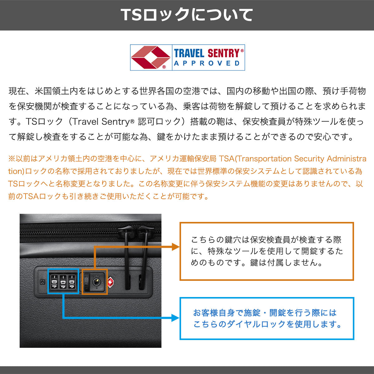エース ACE 当店限定モデル スーツケース Mサイズ キャリーケース 軽量 軽い かわいい ドリンクホルダー 双輪 TSロック 旅行 ブランド ビジネス 5泊 6泊 大きめ 63L 別注 ベベル 05682 （アイボリー） アイボリー