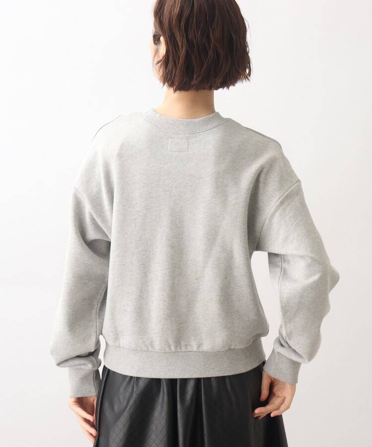 グローブ grove 【Wrangler（ラングラー）別注】カレッジロゴがポイント！裏毛プルオーバー （ディープグレー(015)） ディープグレー(015)