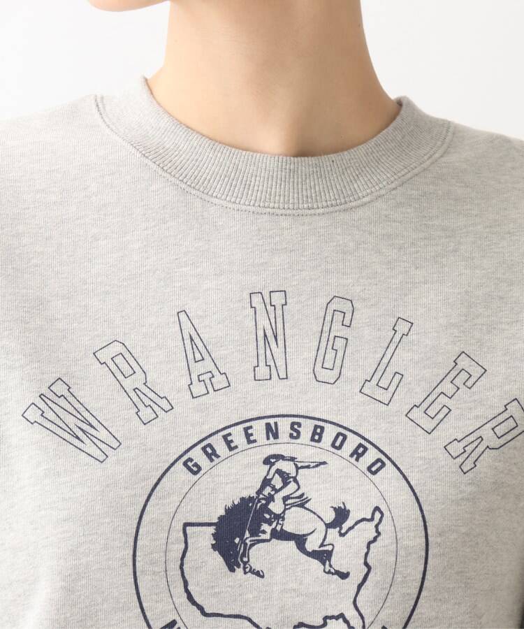 グローブ grove 【Wrangler（ラングラー）別注】カレッジロゴがポイント！裏毛プルオーバー （ディープグレー(015)） ディープグレー(015)