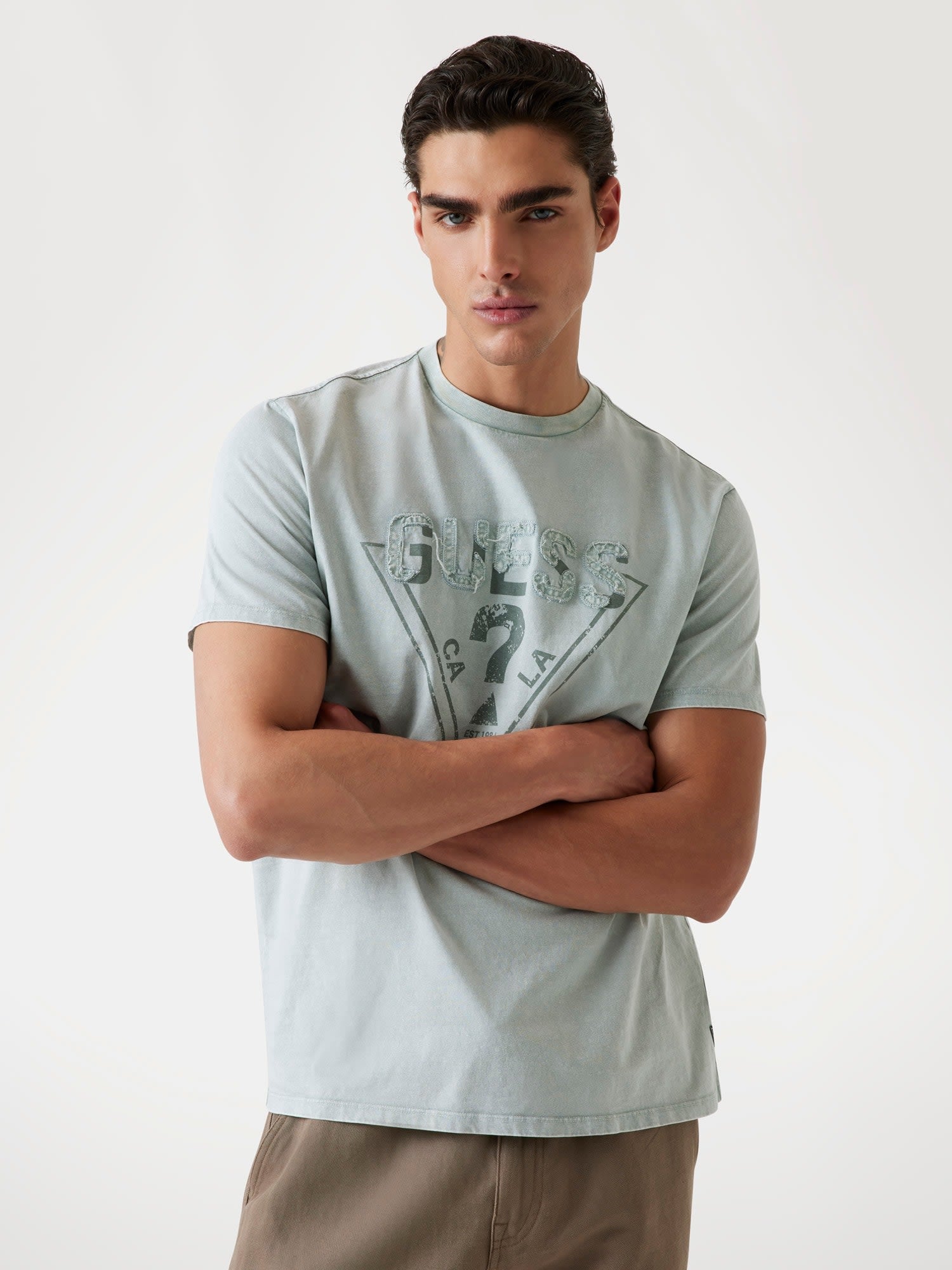 ゲス GUESS SS Bsc Guess Inset Logo Tee （FJZ1） FJZ1