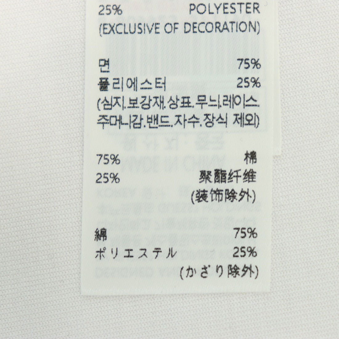 ゲス GUESS Paisley Triangle Tee  Tシャツ