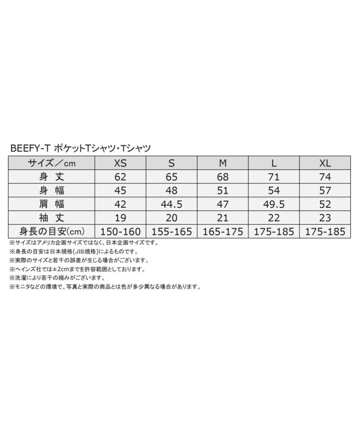 ヘインズ Hanes Hanes ヘインズ BEEFYーT Tシャツ H5180 010 （ホワイト） ホワイト