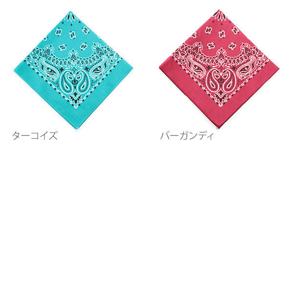 ハバハンク HAV-A-HANK ハバハンク HAV-A-HANK PAISLEY BANDANNA （60.レッド） 60.レッド