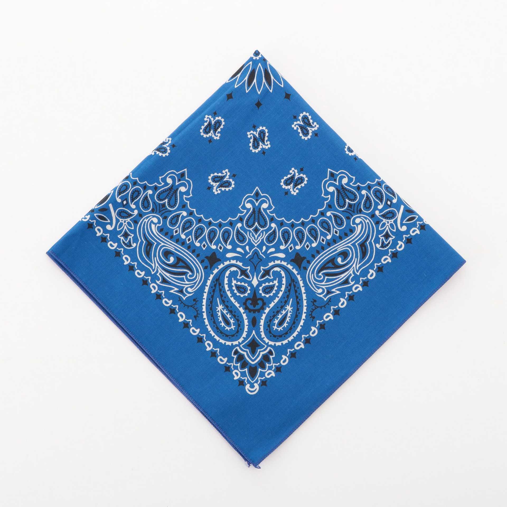 ハバハンク HAV-A-HANK ハバハンク HAV-A-HANK PAISLEY BANDANNA （40.ロイヤル） 40.ロイヤル