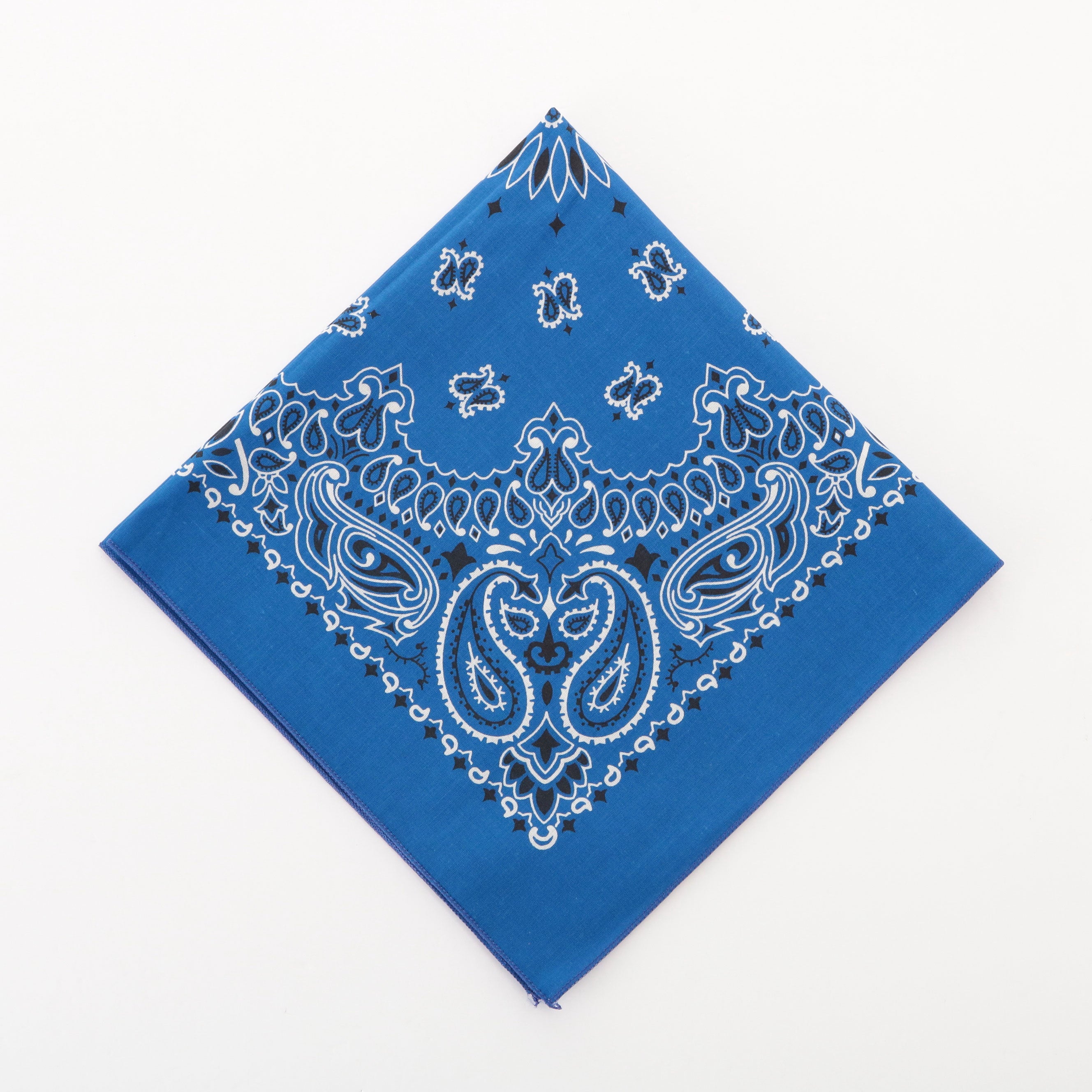 ハバハンク HAV-A-HANK ハバハンク HAV-A-HANK PAISLEY BANDANNA （40.ロイヤル） 40.ロイヤル