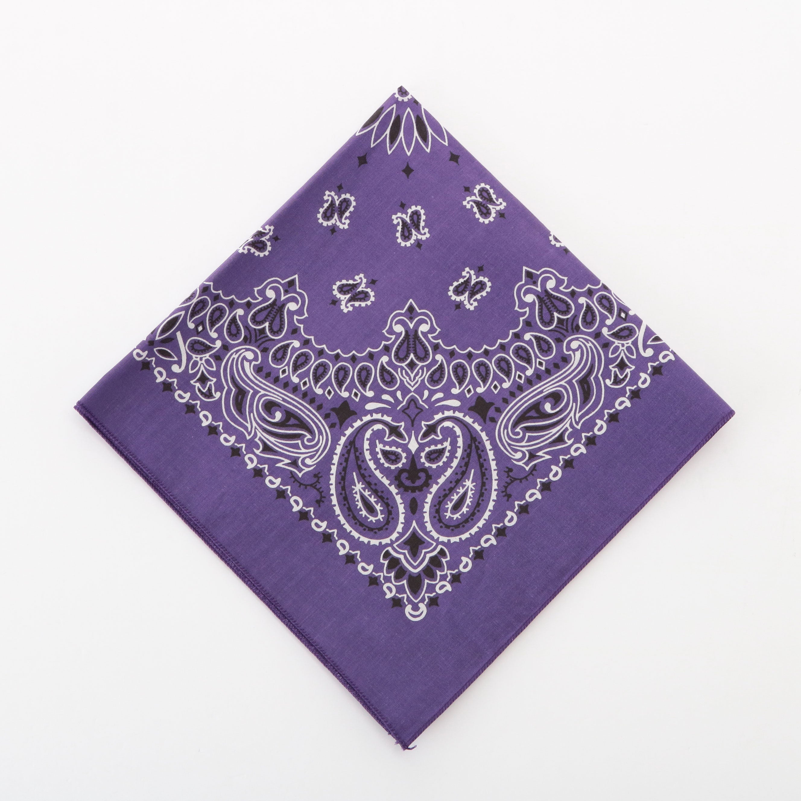 ハバハンク HAV-A-HANK ハバハンク HAV-A-HANK PAISLEY BANDANNA,59.パープル