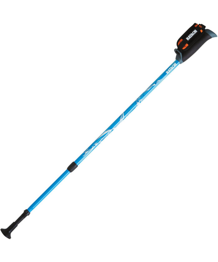 ハタチ HATACHI HATACHI ハタチ DFP プログレッシブズーム 2本組  WH1120 19 （ライトブルー） ライトブルー