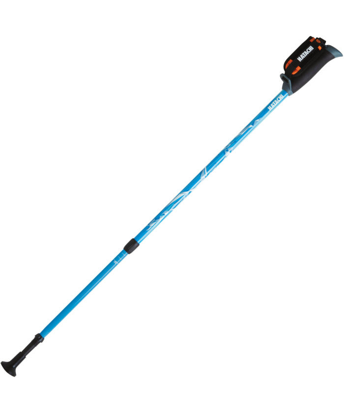ハタチ HATACHI HATACHI ハタチ DFP プログレッシブズーム 2本組  WH1120 19 （ライトブルー） ライトブルー
