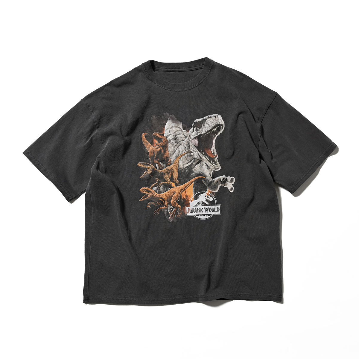 ホームゲーム HOMEGAME JURASSIC WORLD - VINTAGE TEE SUMI BLACK 【UJP-ST12】 （ブラック） ブラック