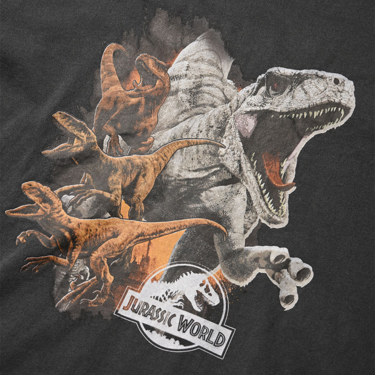 ホームゲーム HOMEGAME JURASSIC WORLD - VINTAGE TEE SUMI BLACK 【UJP-ST12】 （ブラック） ブラック
