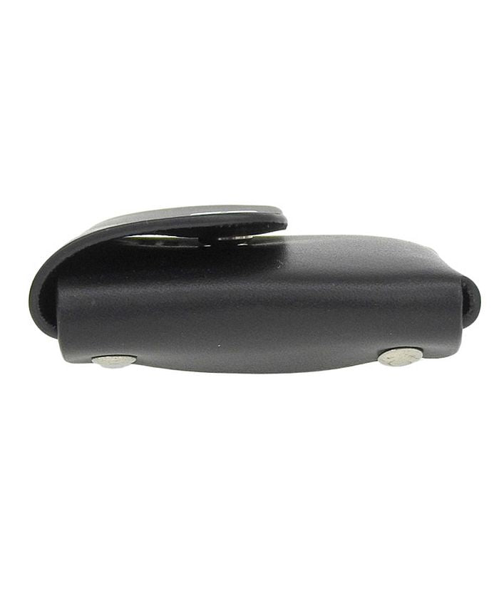 IL BISONTE coin case