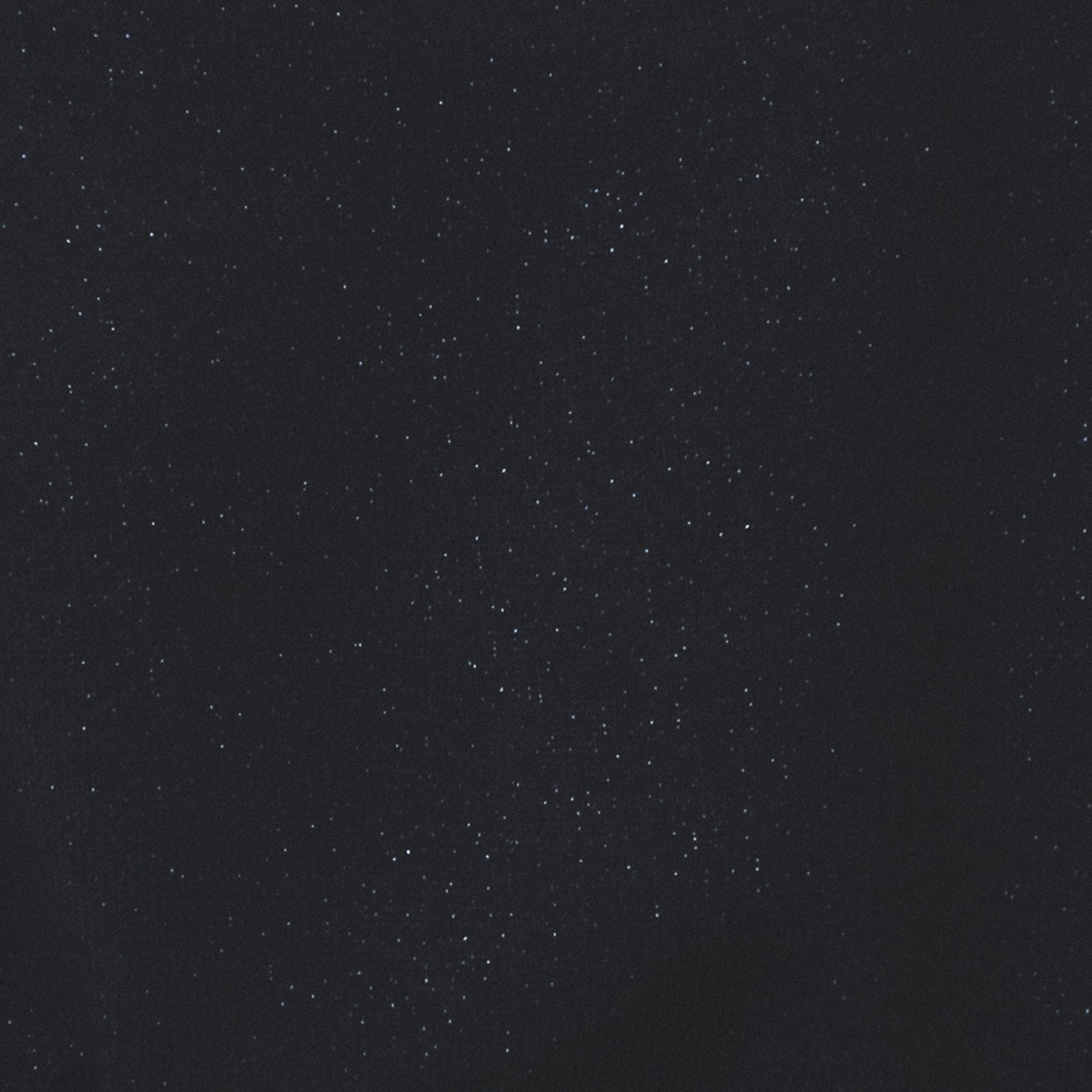 インデックス index ラメリボンスリーブ二ット【洗濯機可・アンチピリング】 （ネイビー(694)） ネイビー(694)