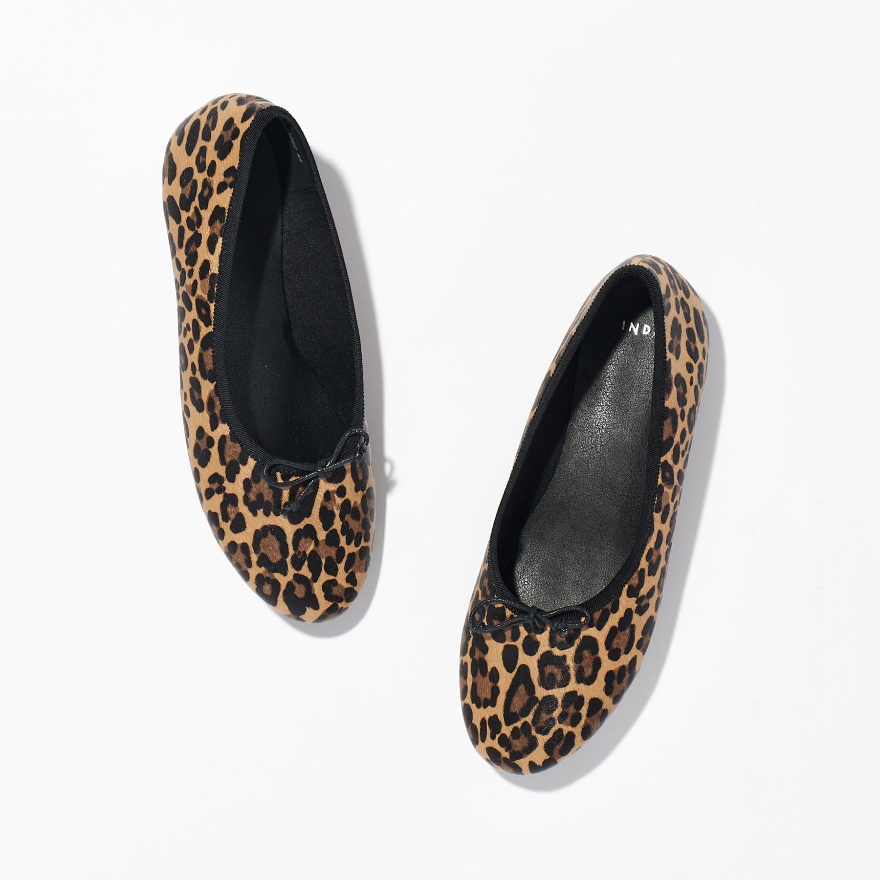 インディヴィ INDIVI スゴラク バレーシューズ （ブラック(019)） ブラック(019)