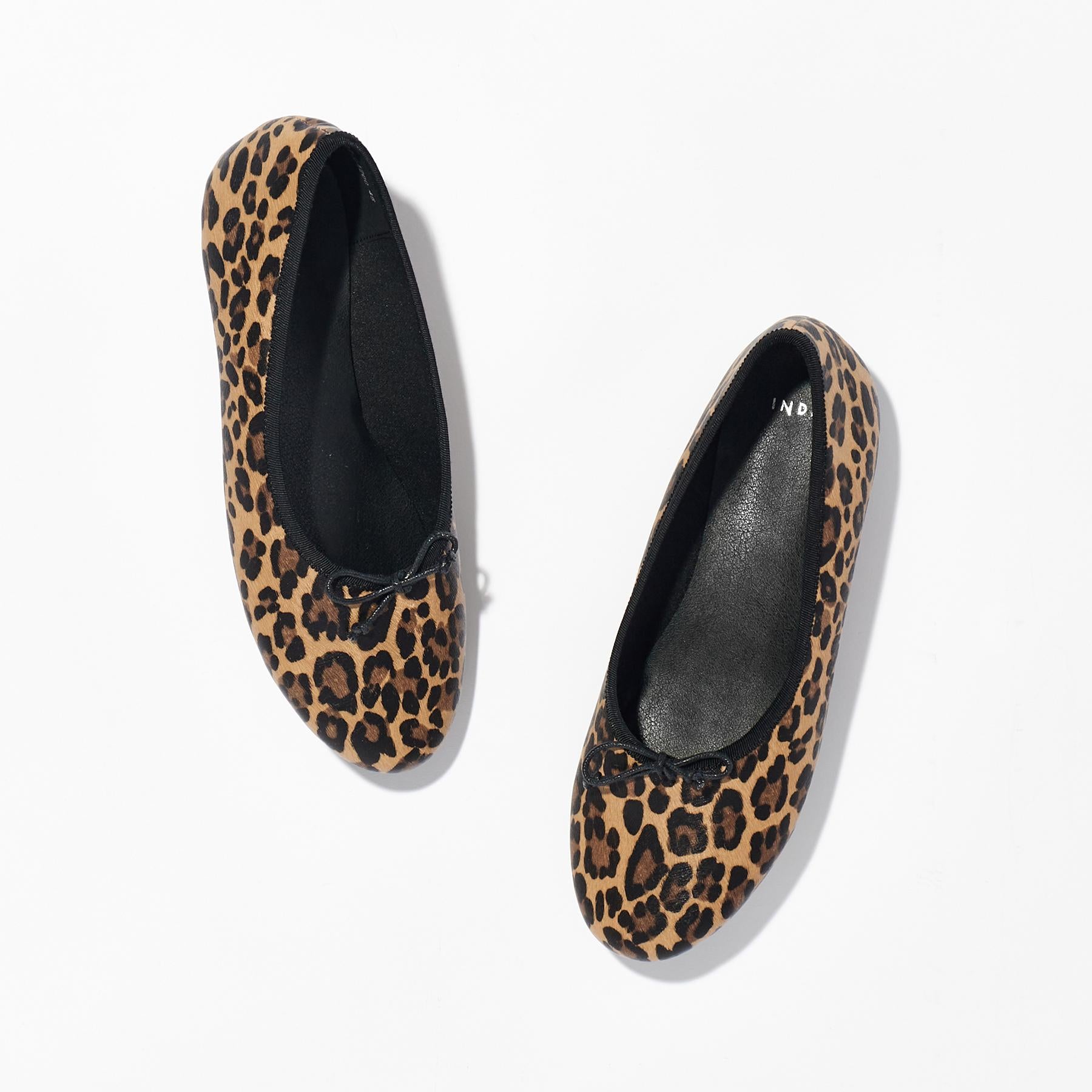 インディヴィ INDIVI スゴラク バレーシューズ （ブラック(019)） ブラック(019)