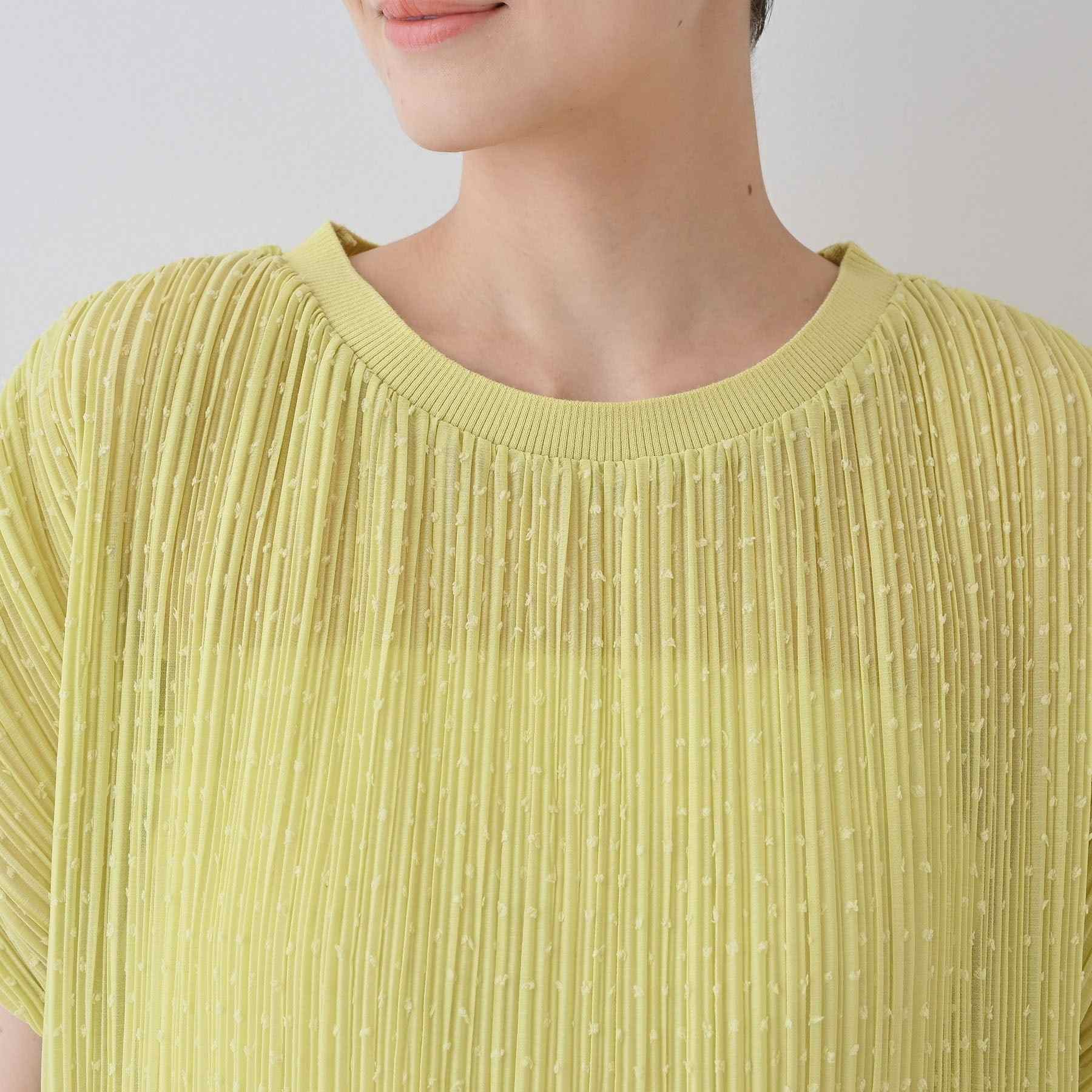 インディヴィ INDIVI 【洗える／ドット柄／凹凸素材】プリーツデザインブラウス （ホワイト(501)） ホワイト(501)