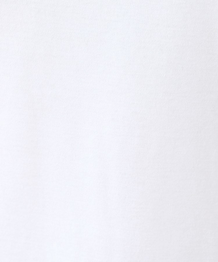 インディヴィ INDIVI 【洗える】シンプルVネックTシャツ （サックスブルー(090)） サックスブルー(090)