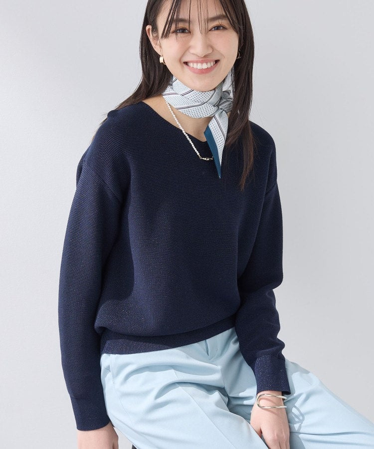 インディヴィ INDIVI 【洗える／軽量】きらめきVネックニット （ネイビー(094)） ネイビー(094)