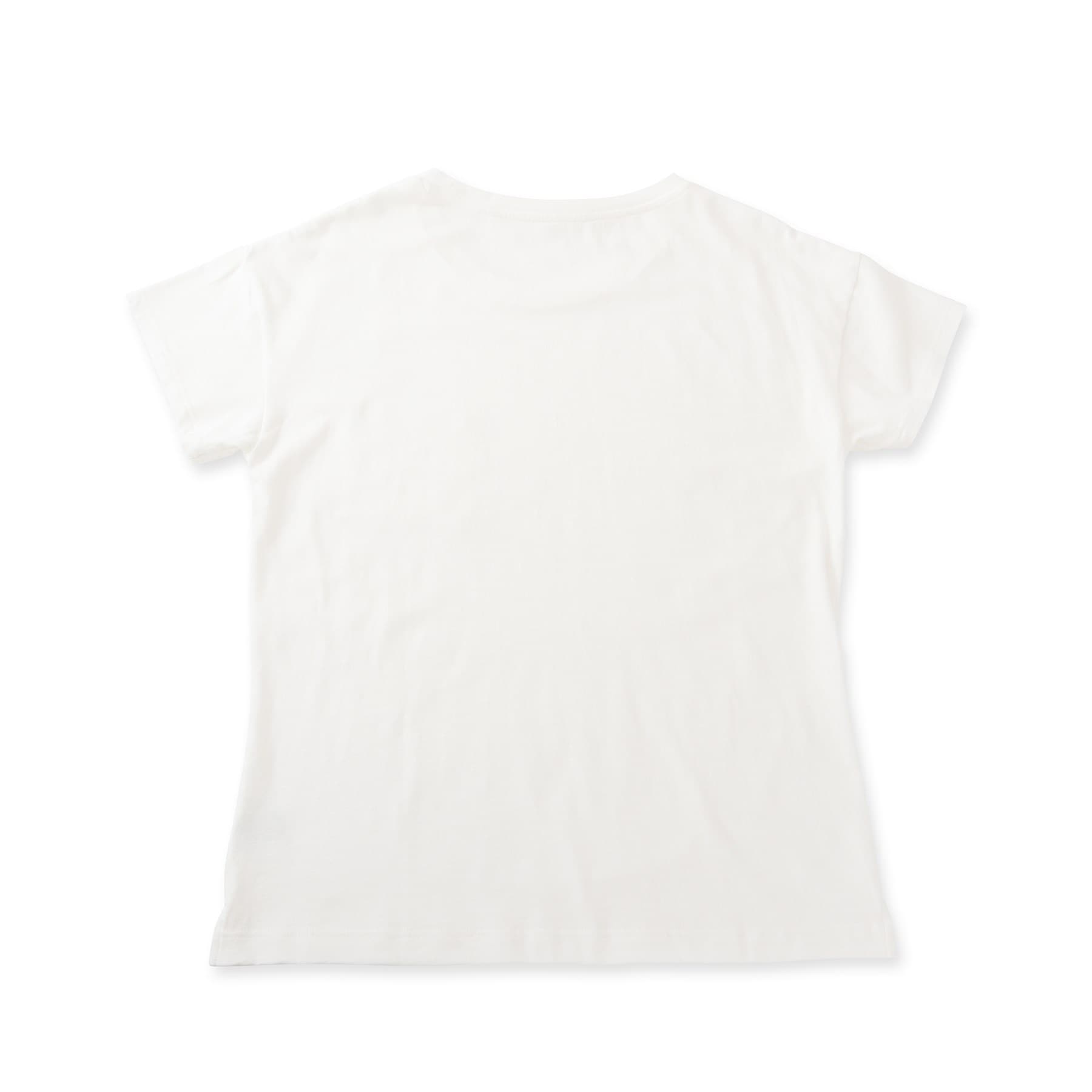 インディヴィ INDIVI Sacre ワンマイルTシャツ (ホワイト) ホワイト(001)