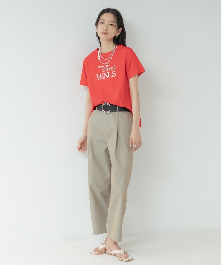 ギャレスト GALLEST タイポグラフィTシャツ （ホワイト(501)） ホワイト(501)