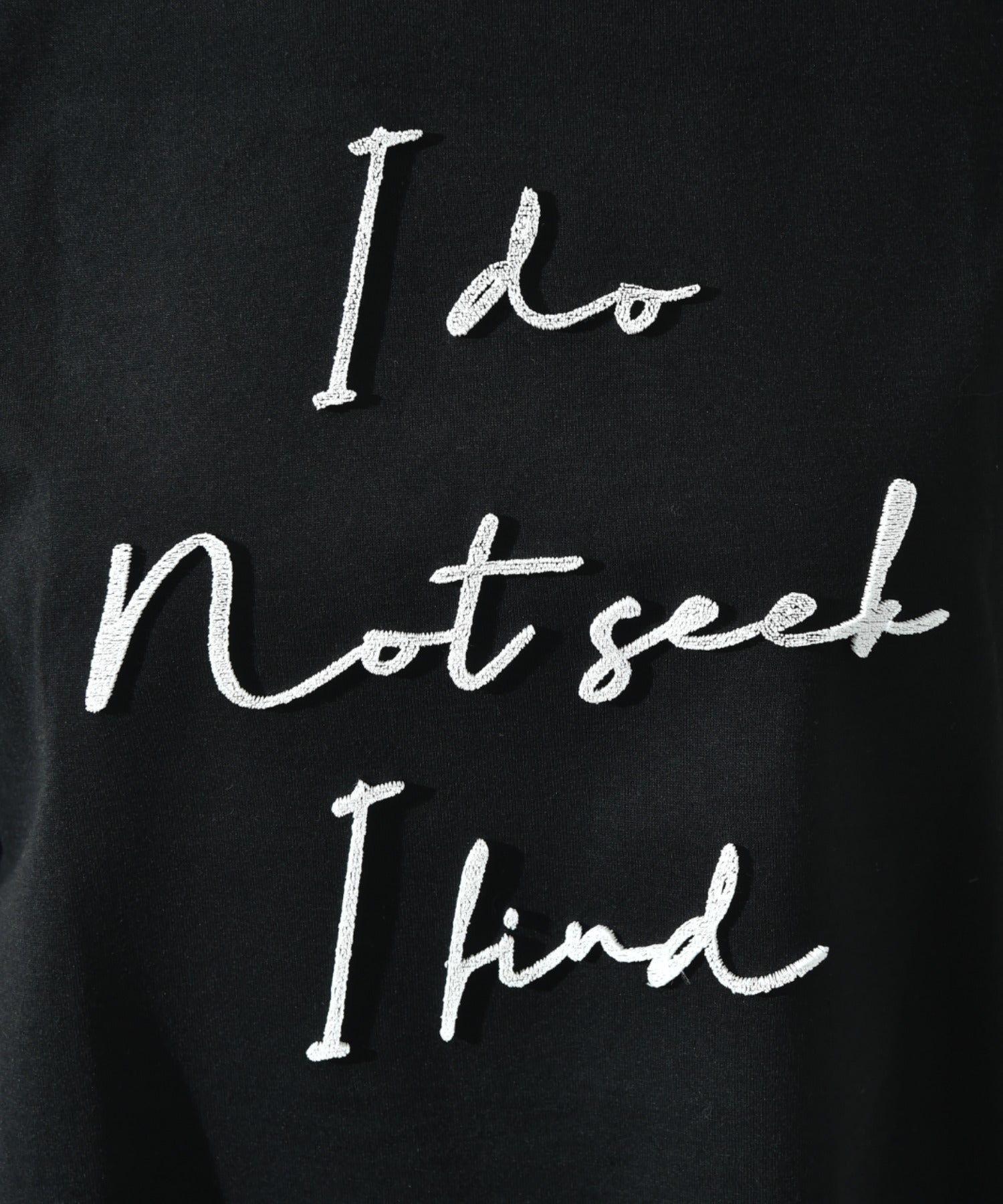 インタープラネット INTERPLANET TC天竺歯ブラシ刺繍ロゴT （ブラック） ブラック