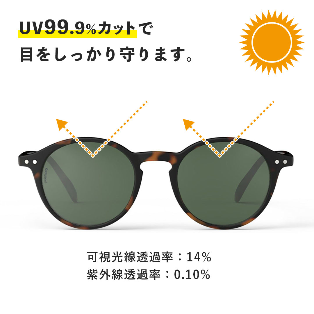IZIPIZI Sunglasses D Polarized Lenses Boston
