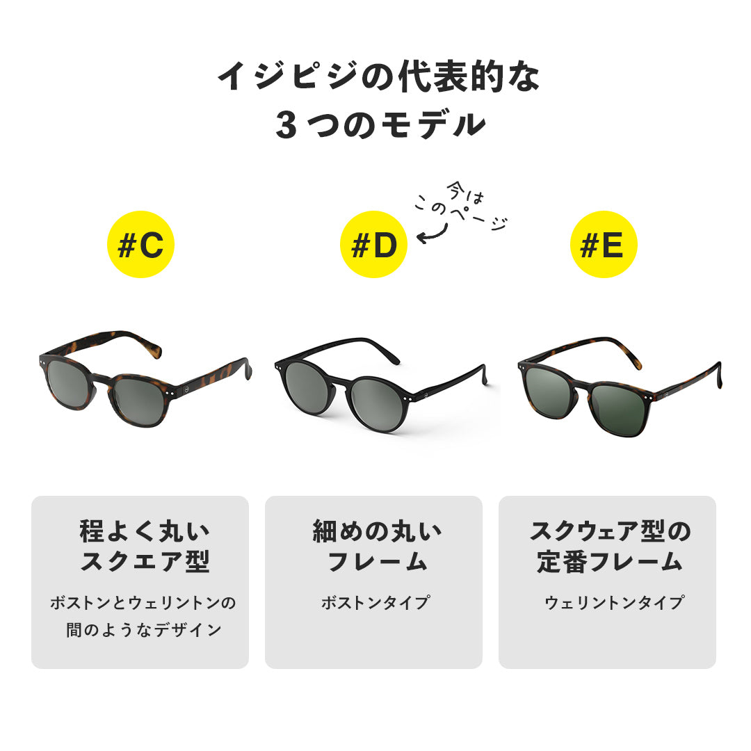IZIPIZI Sunglasses D Polarized Lenses Boston