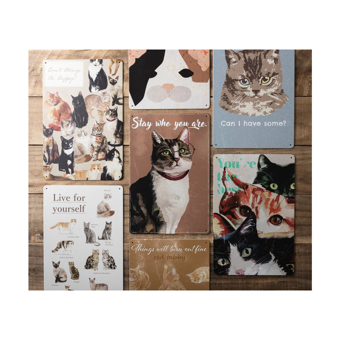ジュビリー Jubilee 猫デザイン アンティーク調  壁掛け レトロサイン （その他19） その他19