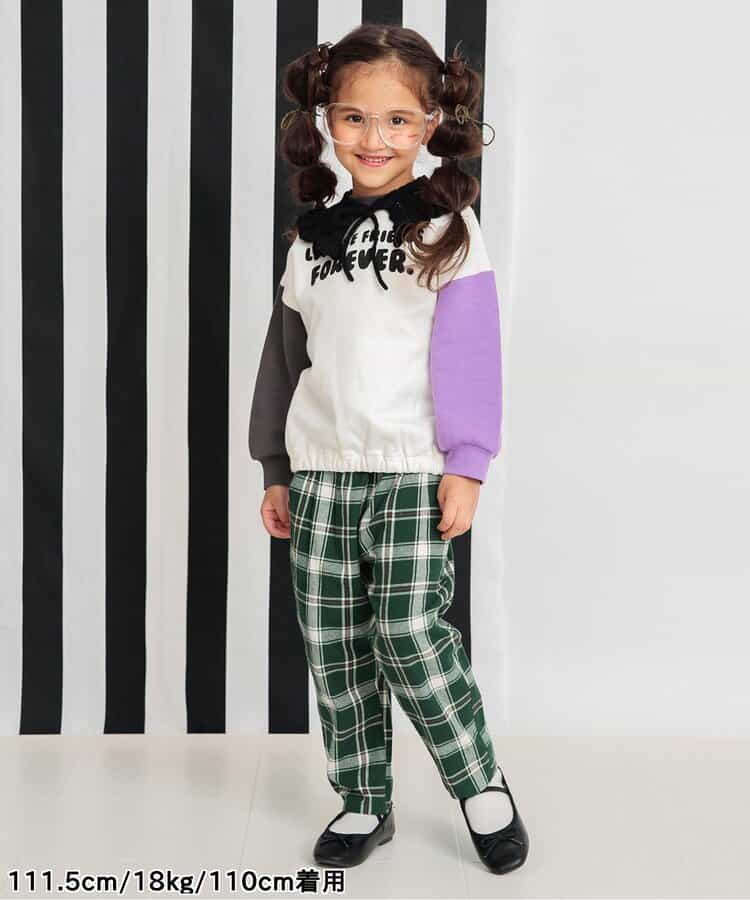 立体モンスタートレーナー